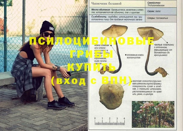 ГАЛЛЮЦИНОГЕННЫЕ ГРИБЫ Баксан