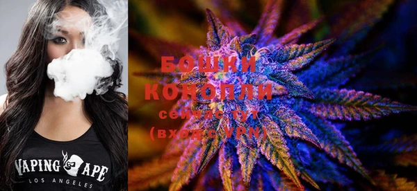 ГАЛЛЮЦИНОГЕННЫЕ ГРИБЫ Баксан