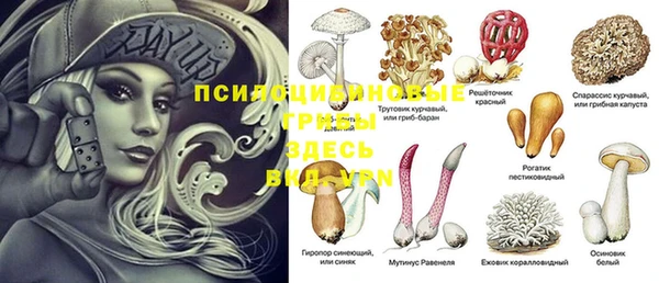 ГАЛЛЮЦИНОГЕННЫЕ ГРИБЫ Баксан