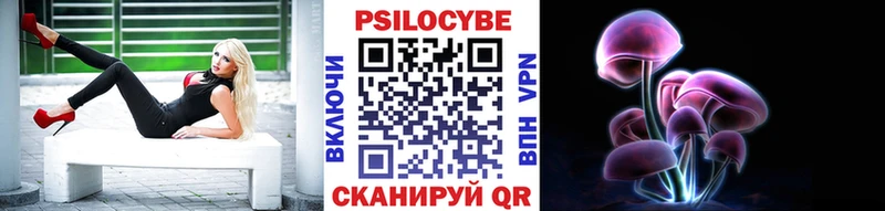 Галлюциногенные грибы Psilocybine cubensis  закладка  Северо-Курильск 